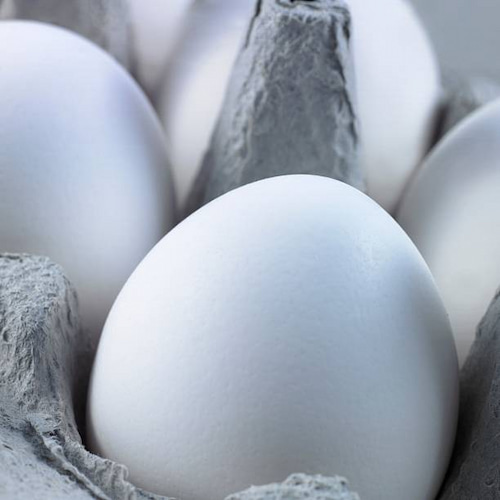 تخم مرغ فله ای با پوسته سالم و زرده درشت